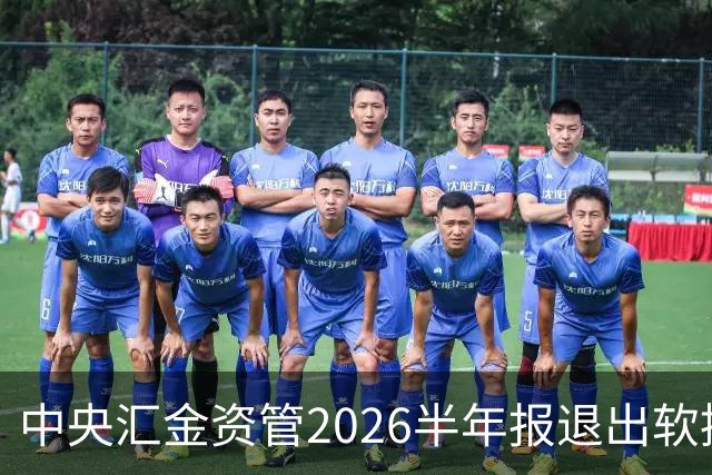 中央汇金资管2026半年报退出软控股份前十大股东名单