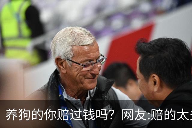 养狗的你赔过钱吗？网友:赔的太多了，它的身价蹭蹭往上涨