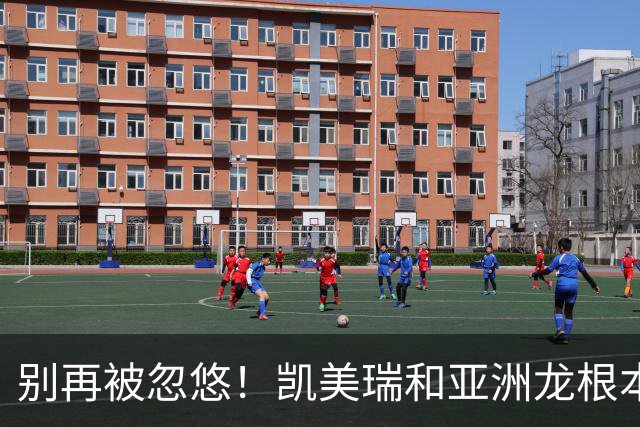 别再被忽悠！凯美瑞和亚洲龙根本不是换壳车，选错真的亏大了