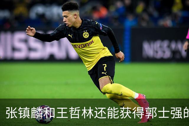 张镇麟和王哲林还能获得郭士强的青睐吗？杜锋说出大实话！