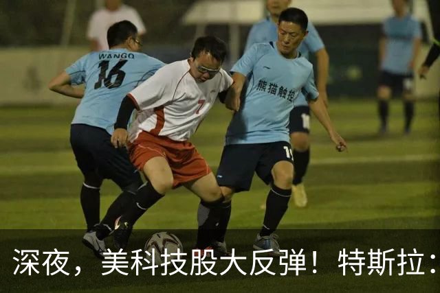 深夜，美科技股大反弹！特斯拉：马斯克去年实际薪酬为“0”！