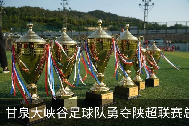 甘泉大峡谷足球队勇夺陕超联赛总冠军