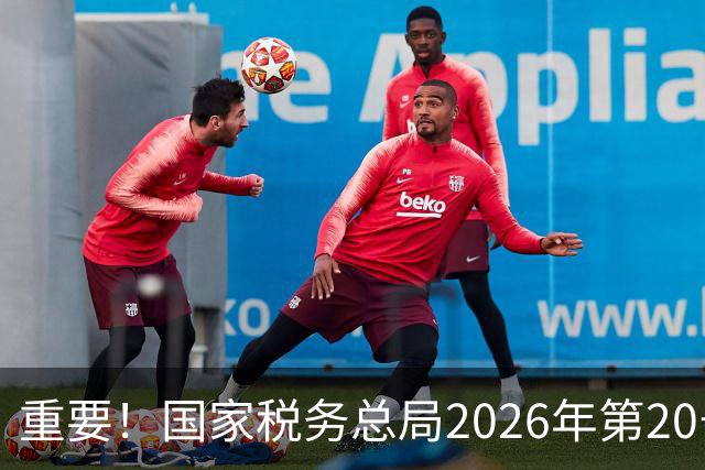 重要！国家税务总局2026年第20号公告，自11月1日起施行