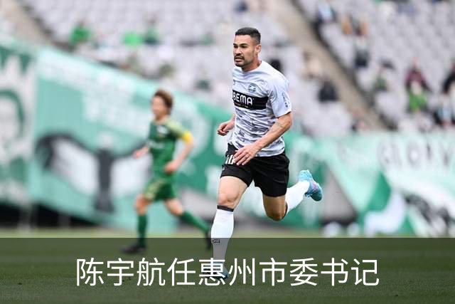 陈宇航任惠州市委书记